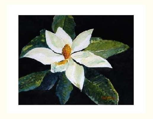 Magnolia - SOLD©