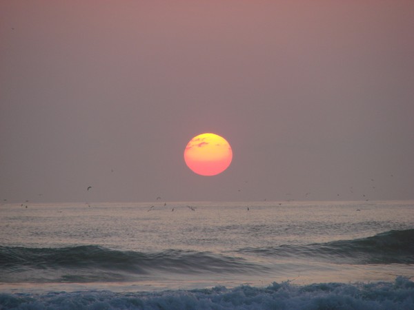 Morning in Florida