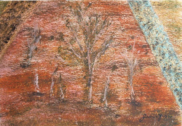 G01-02 trees in urban setting