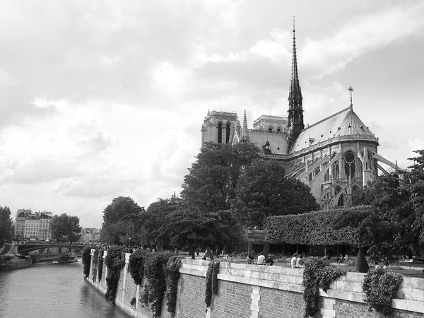 THE CATHEDRAL