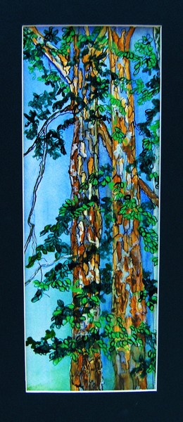 South Carolina Pines