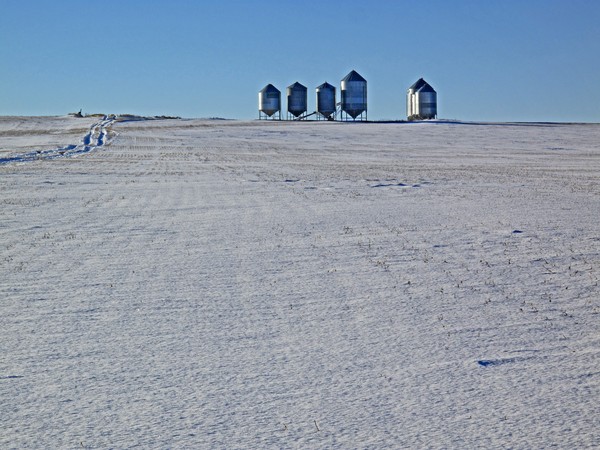 Grain Bins 