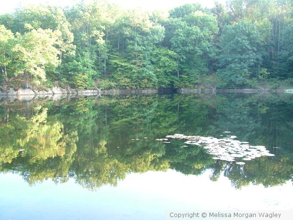 Fishing Lake