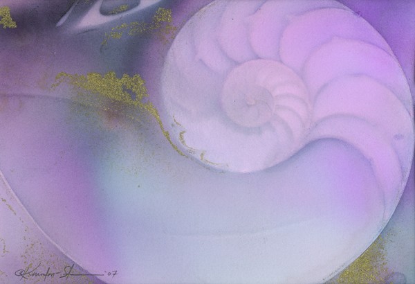 Nautilus Shell #41