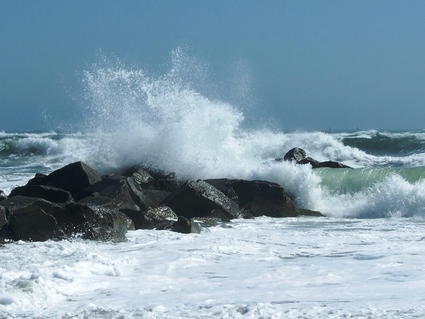 Awesome Wave
