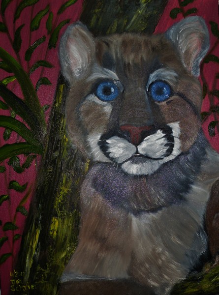 Florida Panther Cub