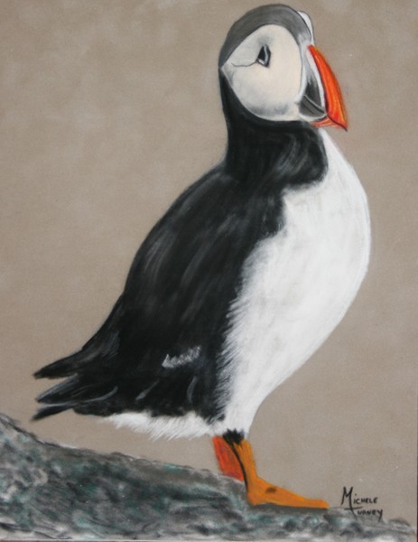 Puffin Alert