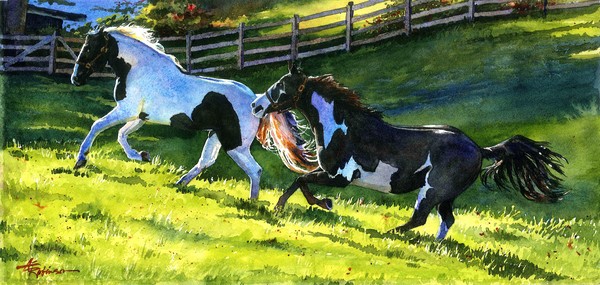 Running Paints