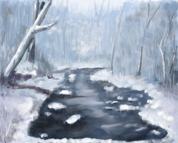 Winter stream