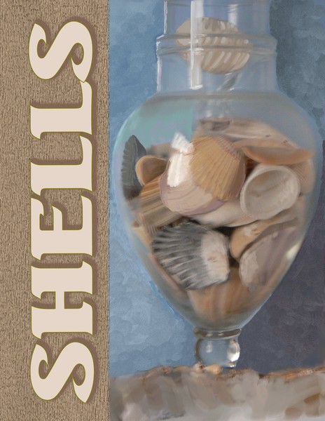 Shells