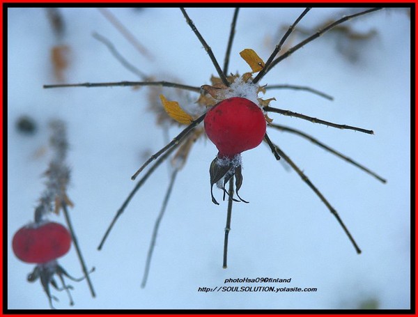 reaching out to..