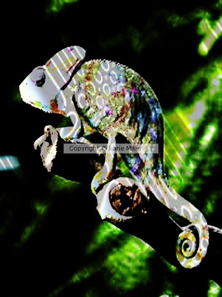 reptiles 2