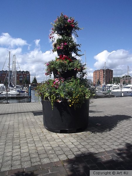 Marina Floral Display