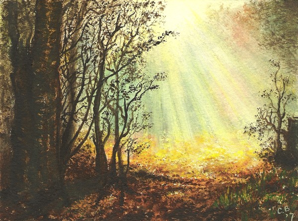 1 out of 12  'Dutch Forest'