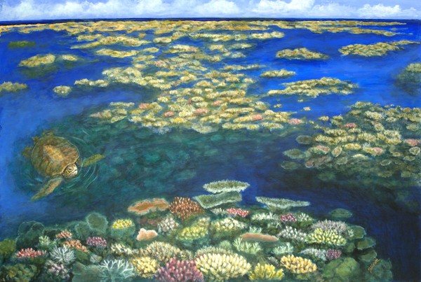 Surfacing on Great Barrier Reef