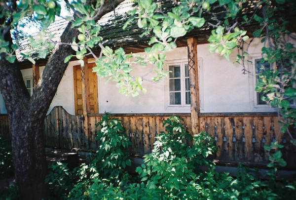 traditional house