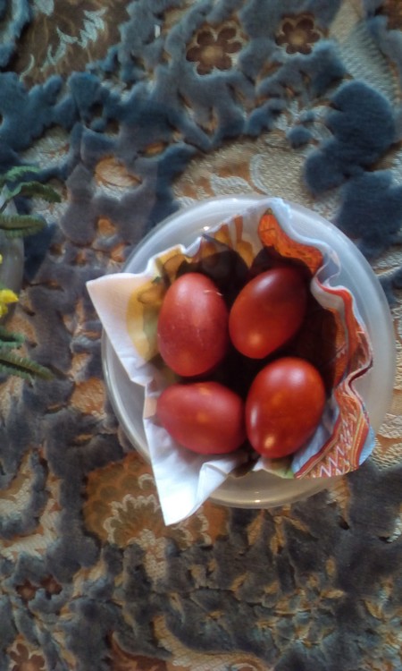 Painted eggs with onions peel,white onions