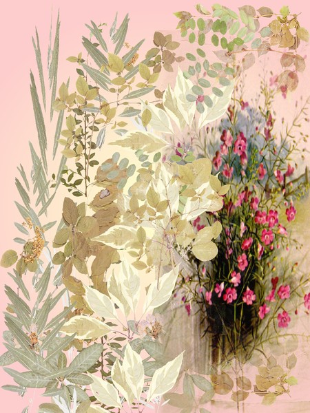 Blossoms