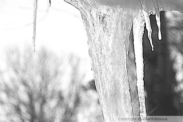 More Ice