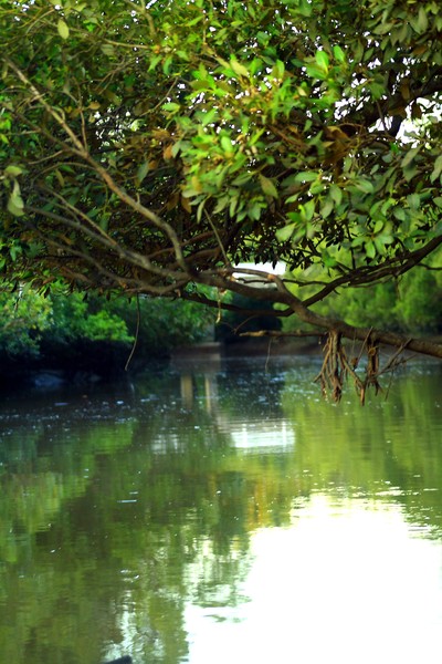 Oxley Creek Catchment