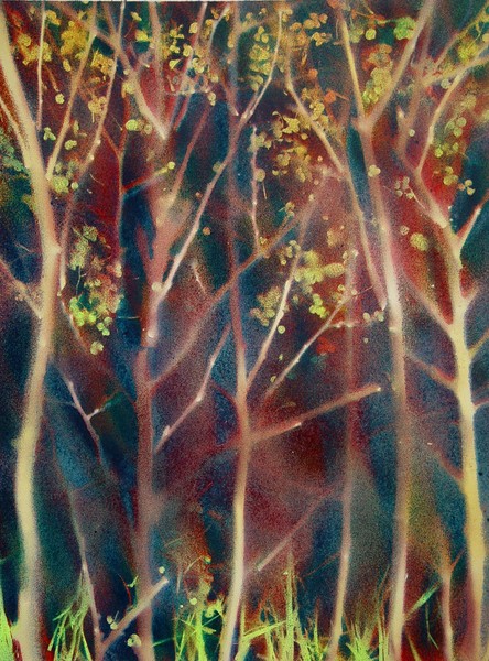 Autumn in the forest 