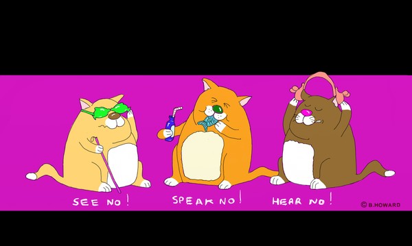 three wise cats