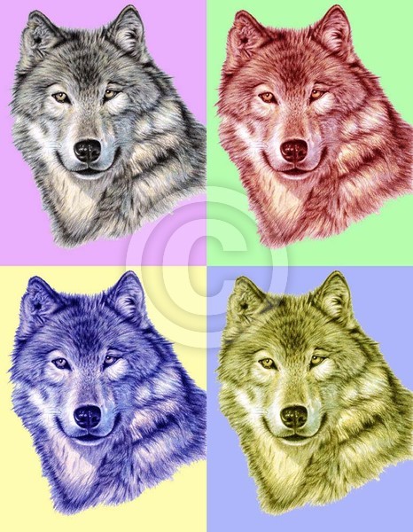 Wolf PopArt