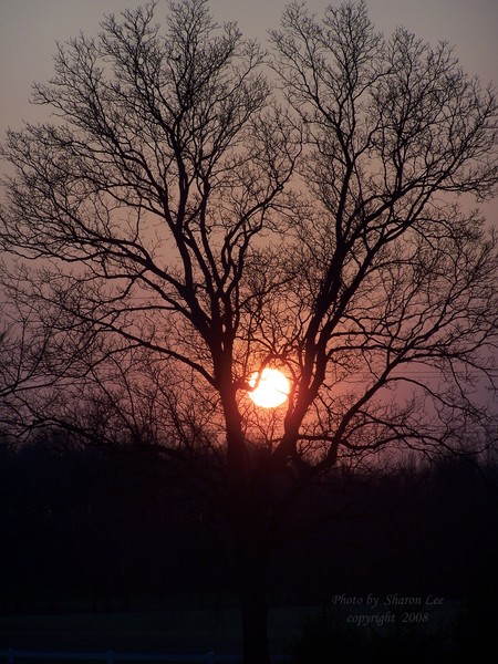 Indiana Sunset 3