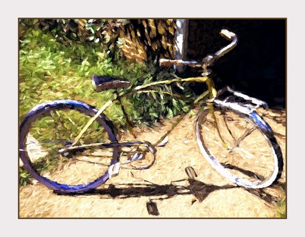 The Kids Bike