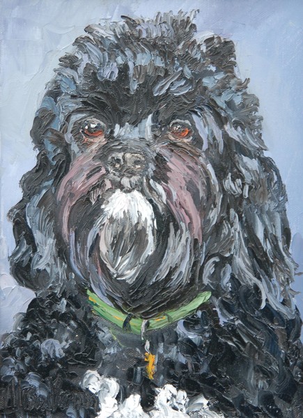 Webster