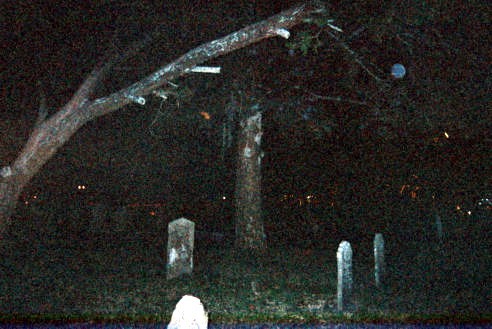 st  Augustine  odd  sort nite