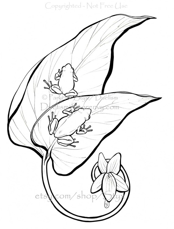 Frogs with Viola chamissoniana ‘Olopu