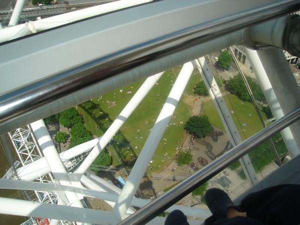 Garden View from 'London Eye'