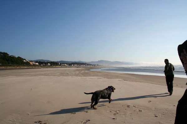 Day at the Beach