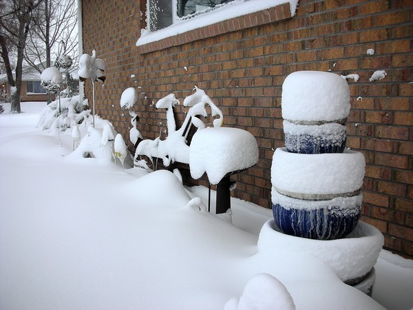 Colorado Blizzard