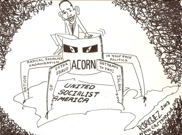 Acorn