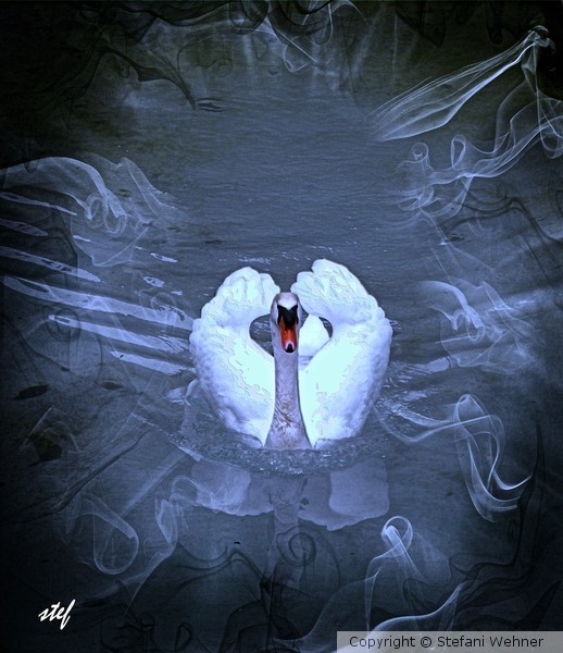 swan lake