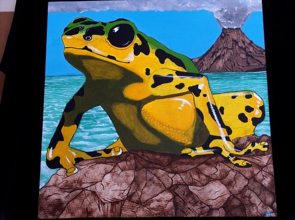 frog and volcano.