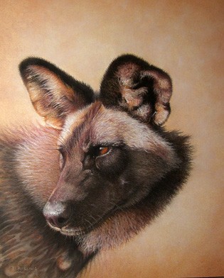 African Wild Dog