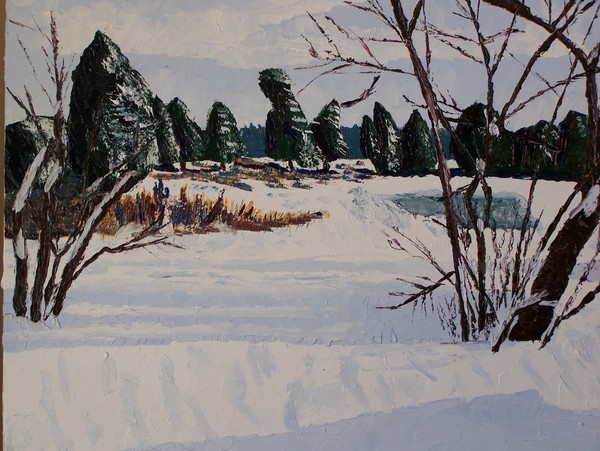 North Field with Snow