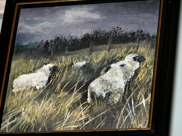 Sheep in a Field (closer view)