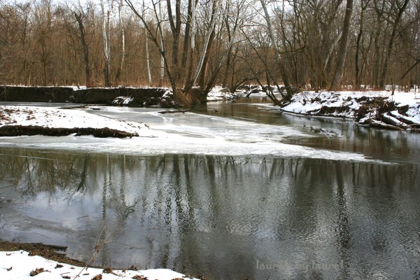 Winter Reflections