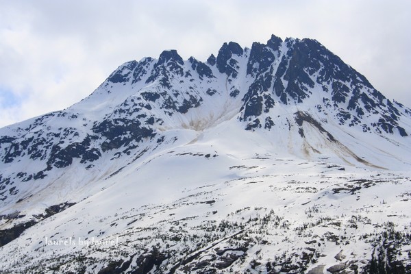 Rugged Alaskan Mountain