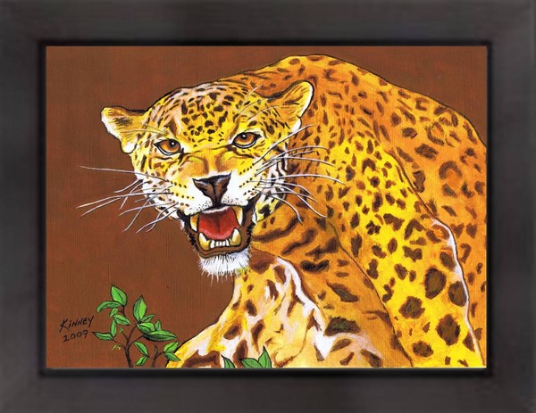Jaguar Cat