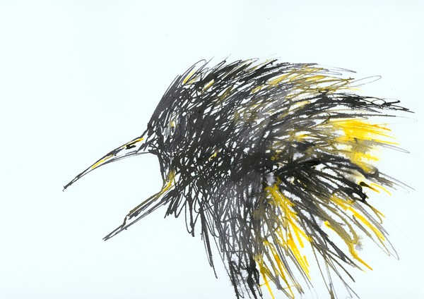 Birdie