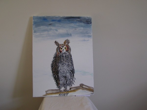 owl on a winterland night