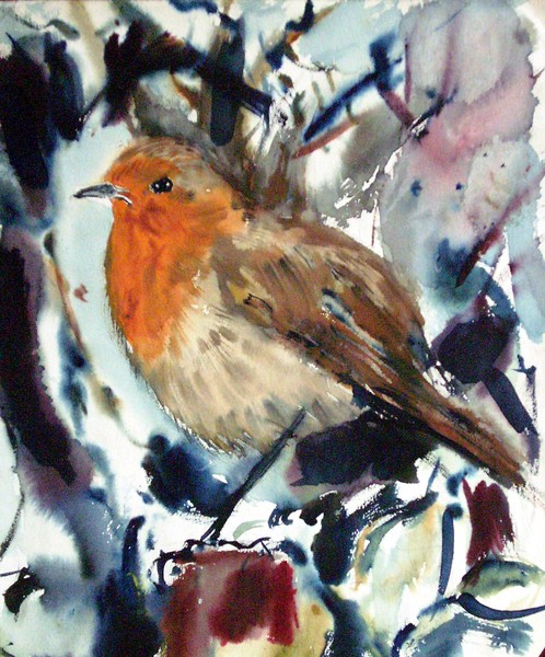 Robin redbreast
