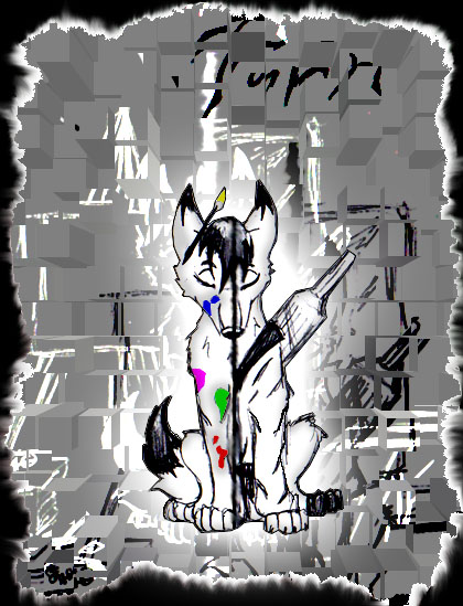 Torn
