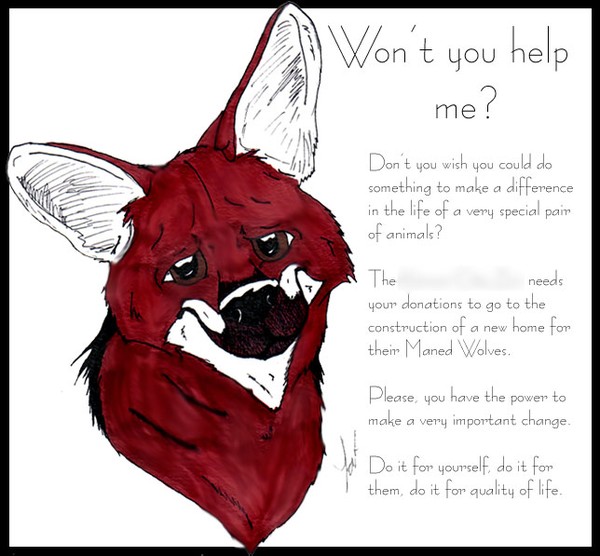 How Far Would You Go For A Friend?