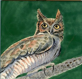 Great Horned Owl